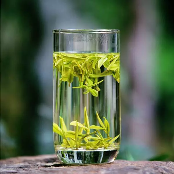 安吉白茶
