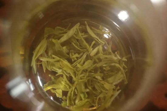 碧螺春正確泡法和飲用，碧螺春茶泡茶方法與溫度