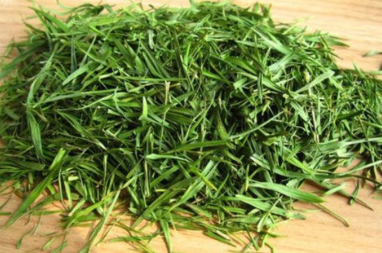哪類人不適合喝石竹茶，石竹茶的功效與禁忌