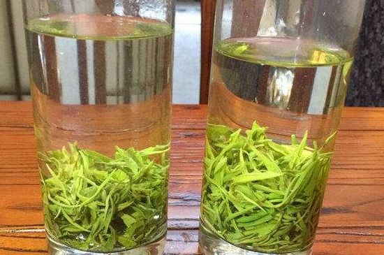 黃金茶的功效及禁忌癥，黃金茶有什么副作用嗎？