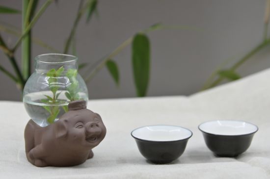 正確泡茶13個(gè)流程，新手從零開(kāi)始學(xué)泡茶的步驟