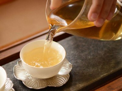 茶葉的專業(yè)知識，關(guān)于茶的基本知識大全