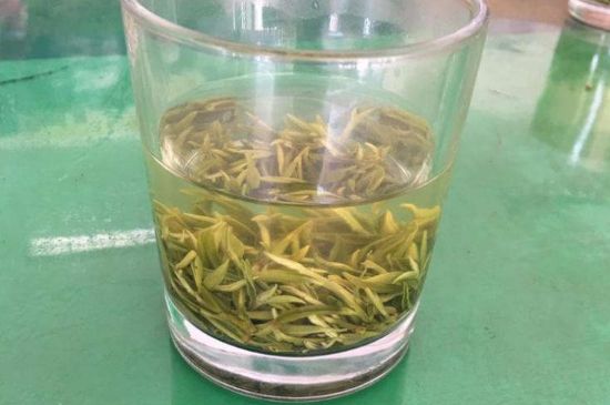 碧螺春正確泡法和飲用，碧螺春茶泡茶方法與溫度