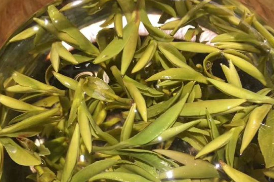 八大茶系都有哪幾種，八大茶系都是什么名字