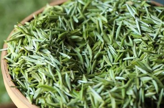雀舌茶的沖泡方法，怎么沖泡雀舌茶？