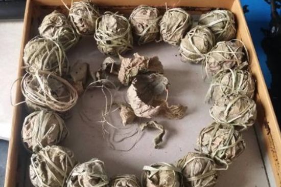 鷓鴣茶用拆開(kāi)泡嗎，鷓鴣茶要解開(kāi)繩子泡嗎
