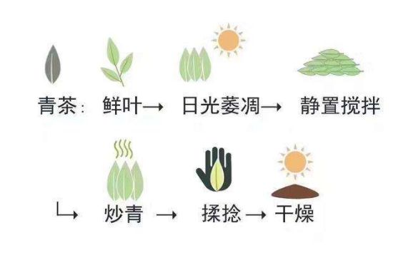 茶葉名稱大全和圖片，茶葉名字大全三四個字！