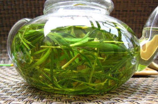 竹葉茶的禁忌，竹葉泡茶的功效禁忌