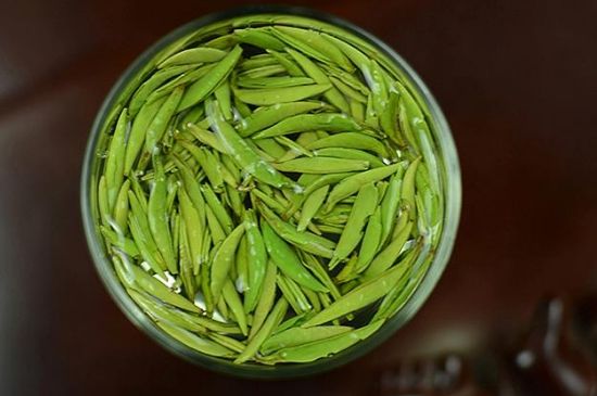 雀舌茶什么人不能喝，雀舌茶的功效與禁忌