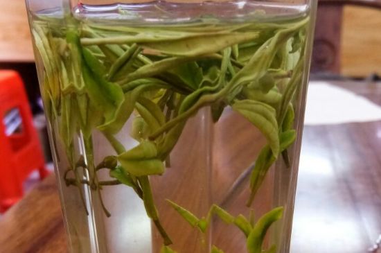云霧綠茶的功效及禁忌，哪些人不適合喝云霧茶
