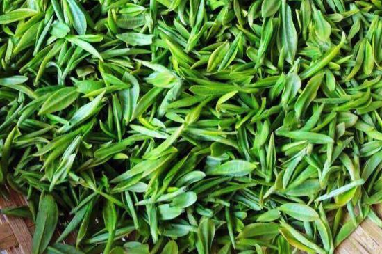 云霧綠茶的功效及禁忌，哪些人不適合喝云霧茶
