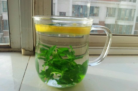 薄荷茶的功效與作用，喝薄荷茶有什么好處？