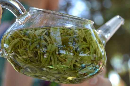 新手學(xué)泡茶的基本常識(shí)，從零開(kāi)始學(xué)泡茶
