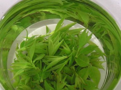 茶葉具有什么功效，茶葉的功效與作用大全