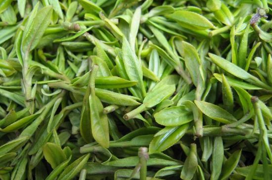 世界最貴的茶葉排行榜，十大最貴的茶