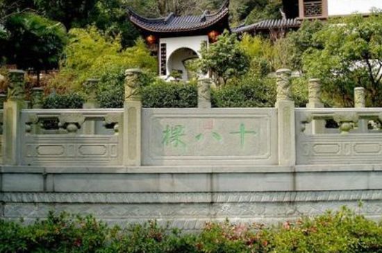 世界最貴的茶葉排行榜，十大最貴的茶