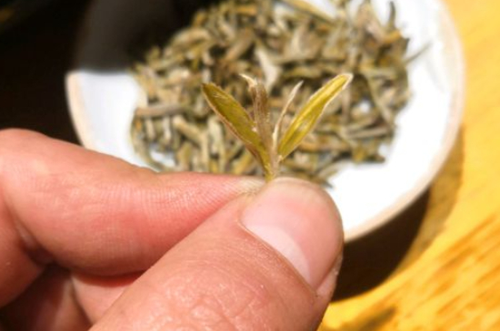 六大茶類哪種適合長(zhǎng)期存放，日常如何保存方法一覽？