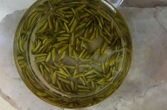 茶葉在哪里買比較好，哪里能買到好的茶葉