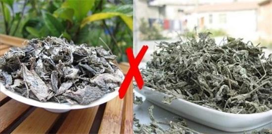 張家界茅巖莓茶與藤茶是同一種茶嗎，藤茶跟莓茶一不一樣？