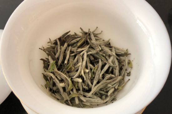 春茶上市白茶的好壞怎么區(qū)分，春白茶怎么分辨好不好？