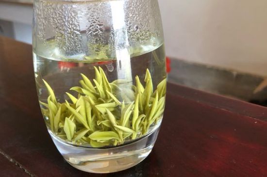 安吉白茶耐寒嗎，白茶適合放冰箱嗎