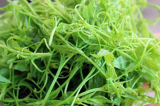 茅巖莓茶別名是什么，莓茶別名叫藤茶嗎？