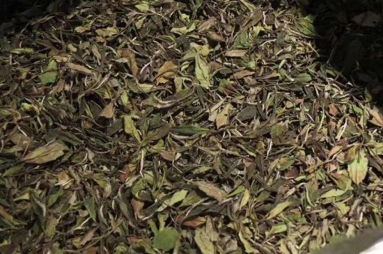 陳茶還是新茶好，茶葉是新茶好喝還是陳茶好喝