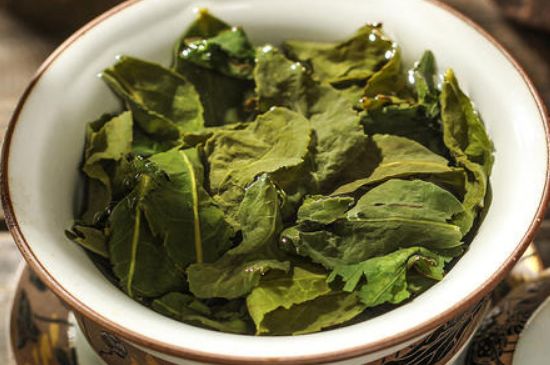 陳茶還是新茶好，茶葉是新茶好喝還是陳茶好喝