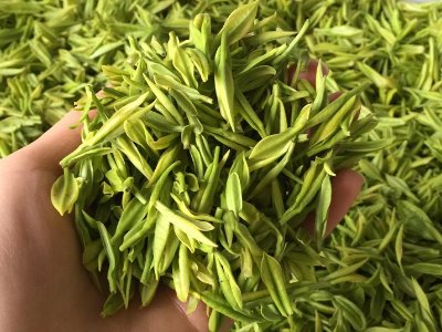 白茶品質(zhì)如何區(qū)分，白茶的優(yōu)劣質(zhì)量辨別方法