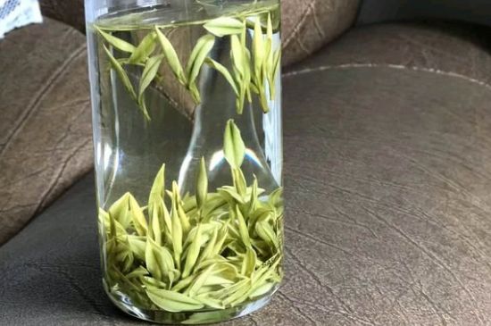 安吉白茶夏天怎么保存，安吉白茶能冷凍儲(chǔ)存嗎？