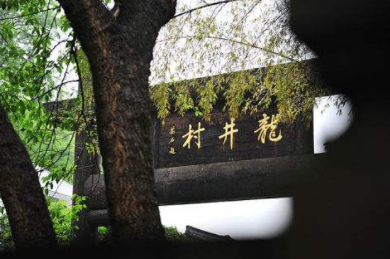 杭州買(mǎi)龍井茶攻略，怎么買(mǎi)到正宗的西湖龍井？