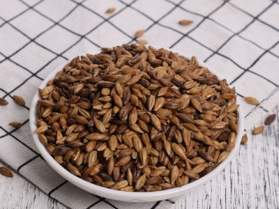 圓形顆粒狀茶是什么茶，像飼料一樣一粒粒的是什么茶？