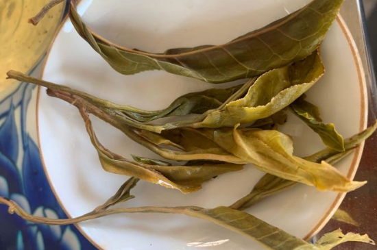 普洱茶十大學(xué)費(fèi)茶排名，吉普H是學(xué)費(fèi)茶？