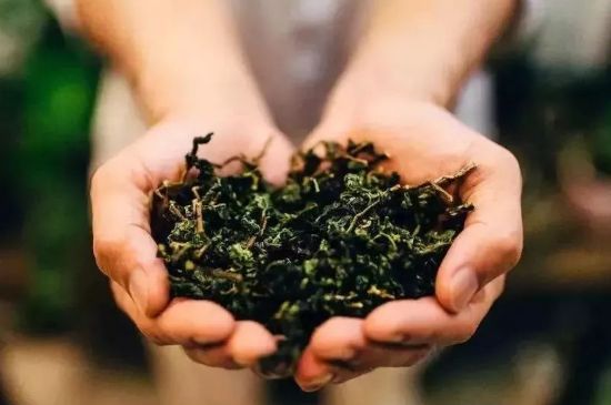 茶葉怎么炒制才香，怎樣炒茶葉更香？