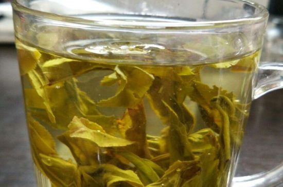 茉莉龍珠可以和什么一起泡茶，茉莉龍珠茶能加蜂蜜嗎？