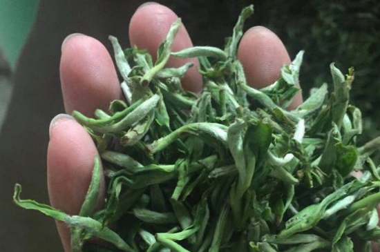 茉莉茶如何制作曬干，自制茉莉茶的做法