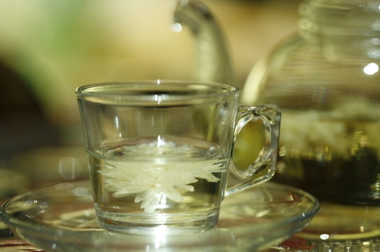 菊花茶天天喝行嗎，每天喝菊花泡茶喝好嗎？
