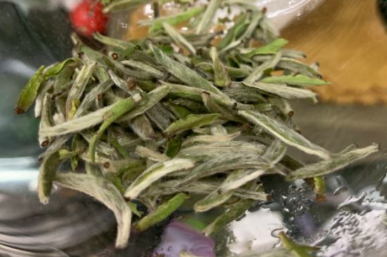 蒸汽煮茶器適合什么茶，蒸汽煮茶器適合用綠茶嗎？