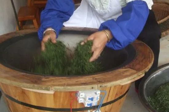 自家炒茶葉怎么炒，自己炒茶葉的步驟