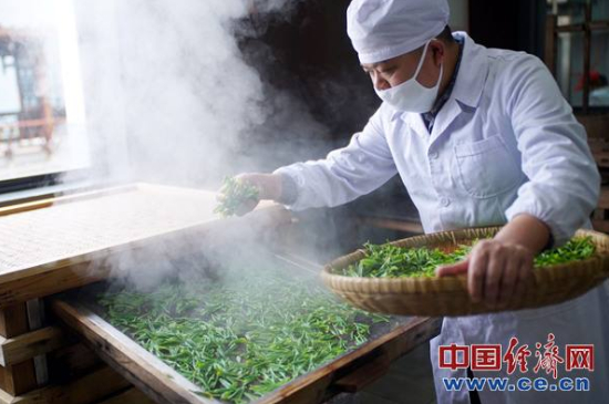 炒青綠茶與綠茶的區(qū)別，烘青和炒青哪個(gè)好喝？