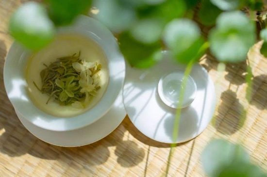 茉莉花茶6種人不要喝，什么體質不適合喝茉莉花茶？