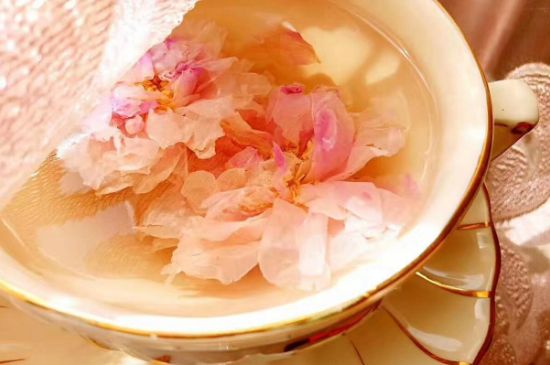 玫瑰花茶一周喝幾次，玫瑰花茶可以天天喝嗎？