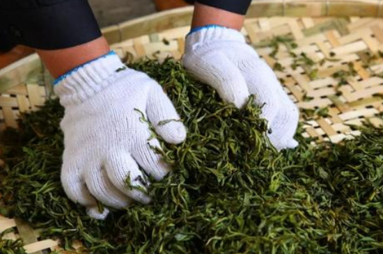 綠茶加工工藝流程圖，綠茶的加工制作包含哪幾個(gè)步驟？