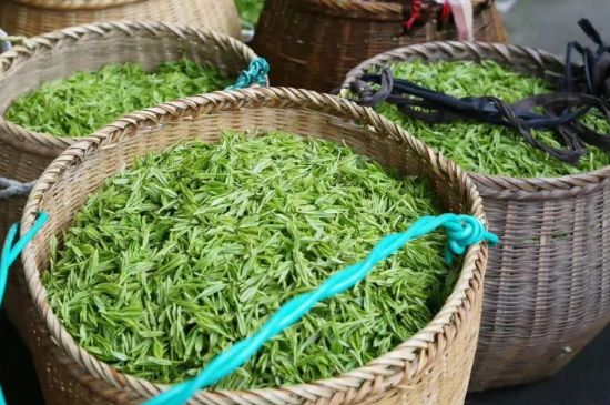 茶葉怎么炒制才香，怎樣炒茶葉更香？