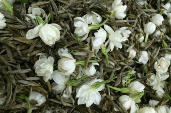 茉莉銀針口感，茉莉銀針是什么味道？