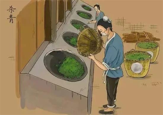 制茶八步驟，制茶工藝流程圖
