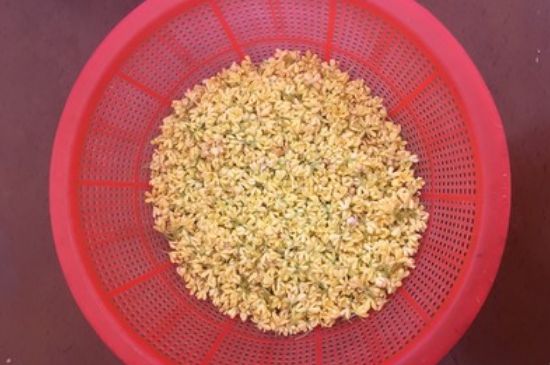 干桂花茶的制作方法，怎樣自制桂花茶？
