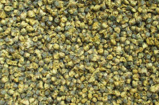 菊花茶大朵小朵有什么區(qū)別，菊花喝大朵還是小朵？