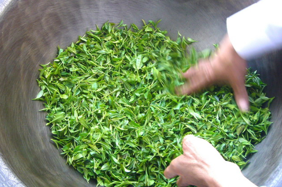 綠茶加工工藝流程圖，綠茶的加工制作包含哪幾個(gè)步驟？