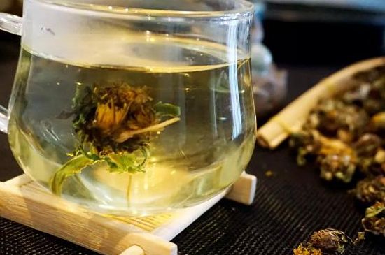 蒲公英最佳搭配，蒲公英茶和什么搭配泡水最佳